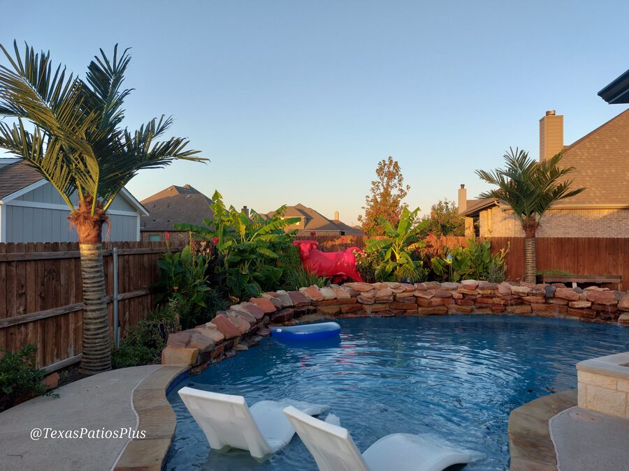 Palm Trees by Texas Patios Plus