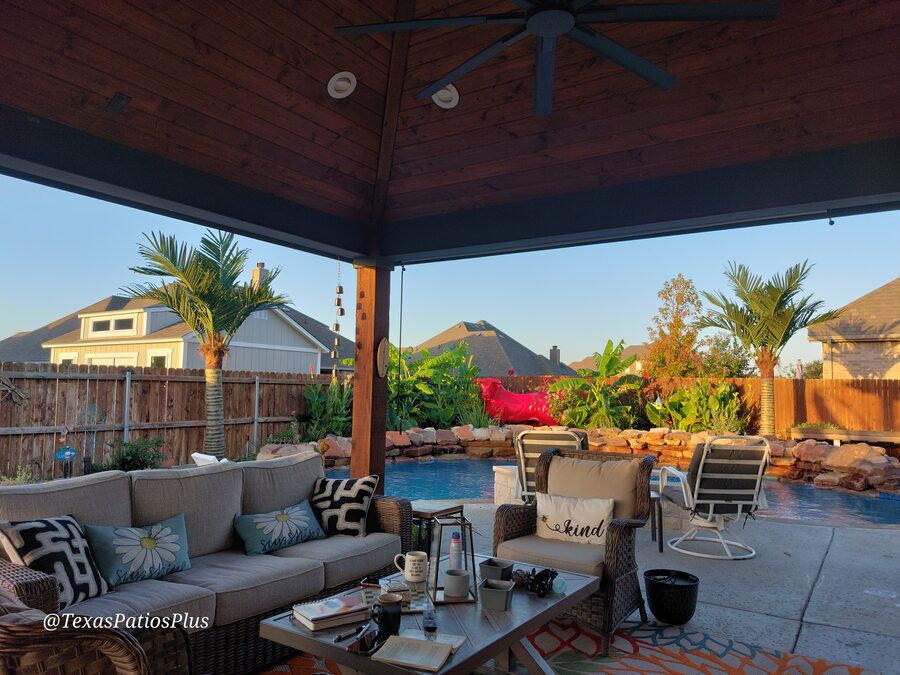Palm Trees by Texas Patios Plus