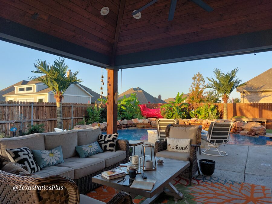 Palm Trees by Texas Patios Plus