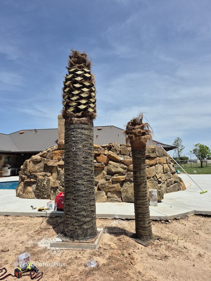 Palm Trees by Texas Patios Plus