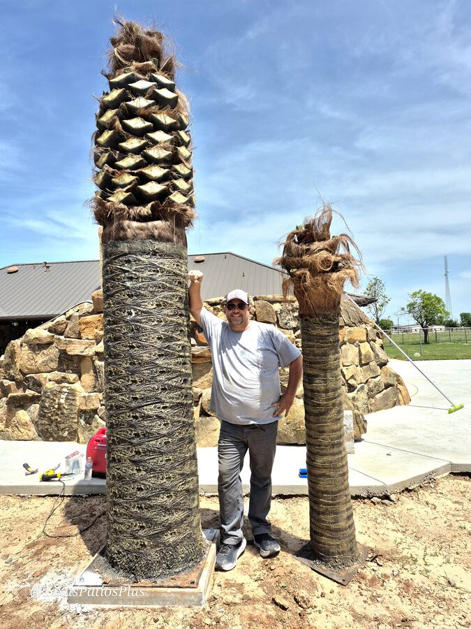 Palm Trees by Texas Patios Plus