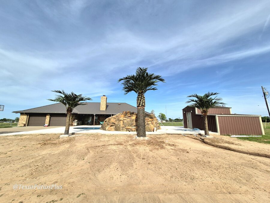 Palm Trees by Texas Patios Plus