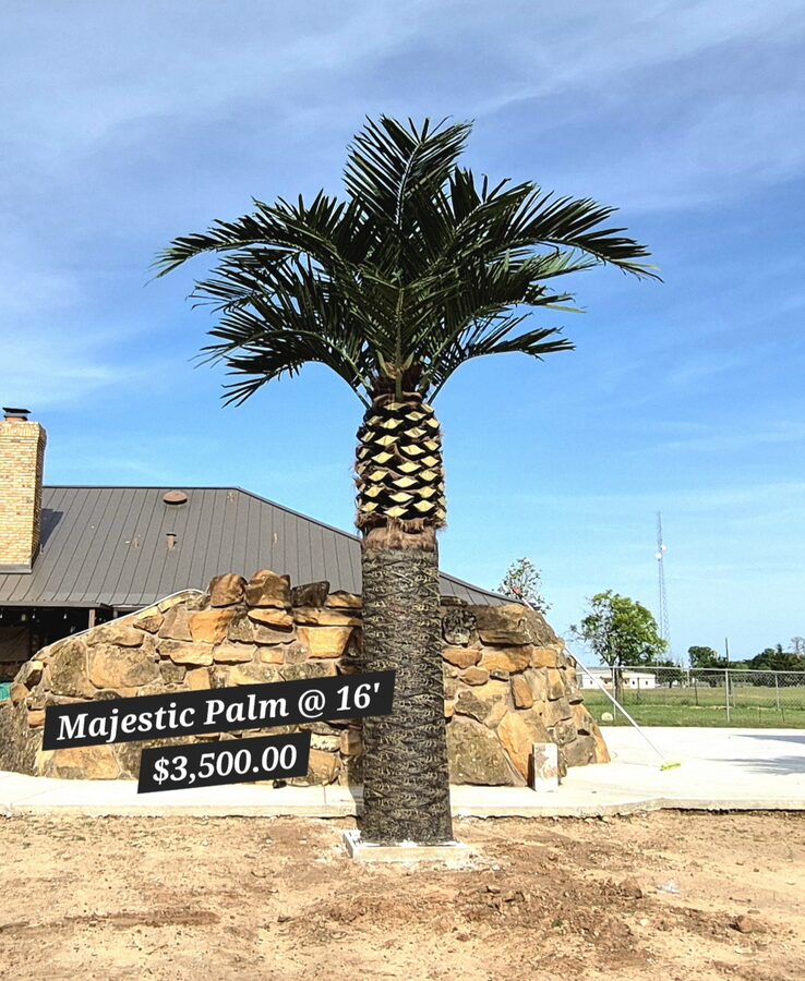Palm Trees by Texas Patios Plus