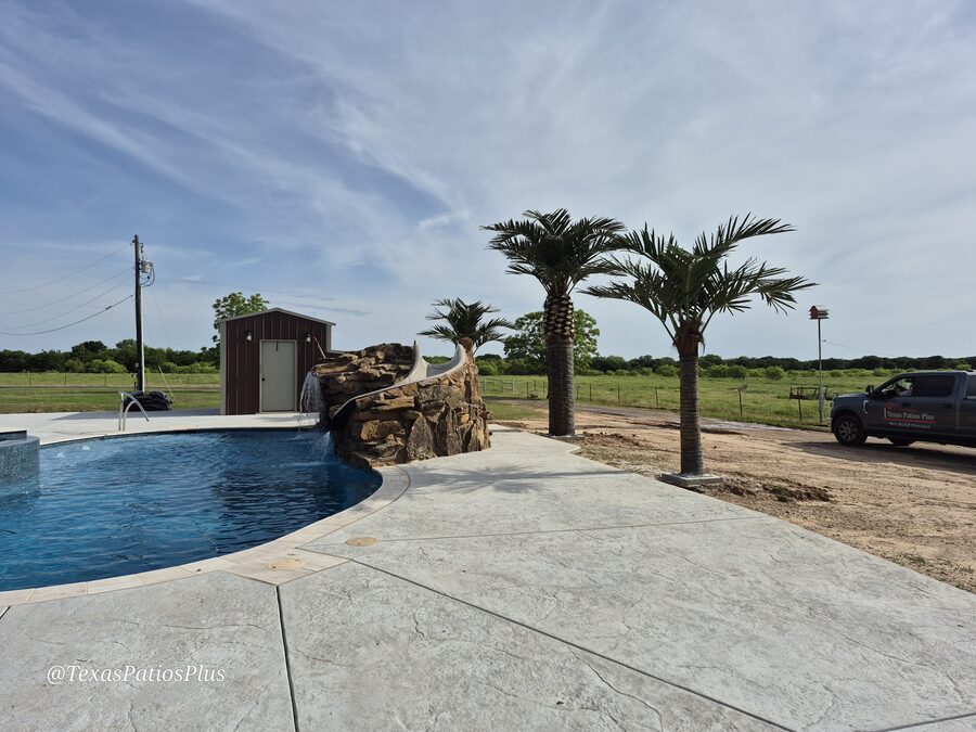 Palm Trees by Texas Patios Plus