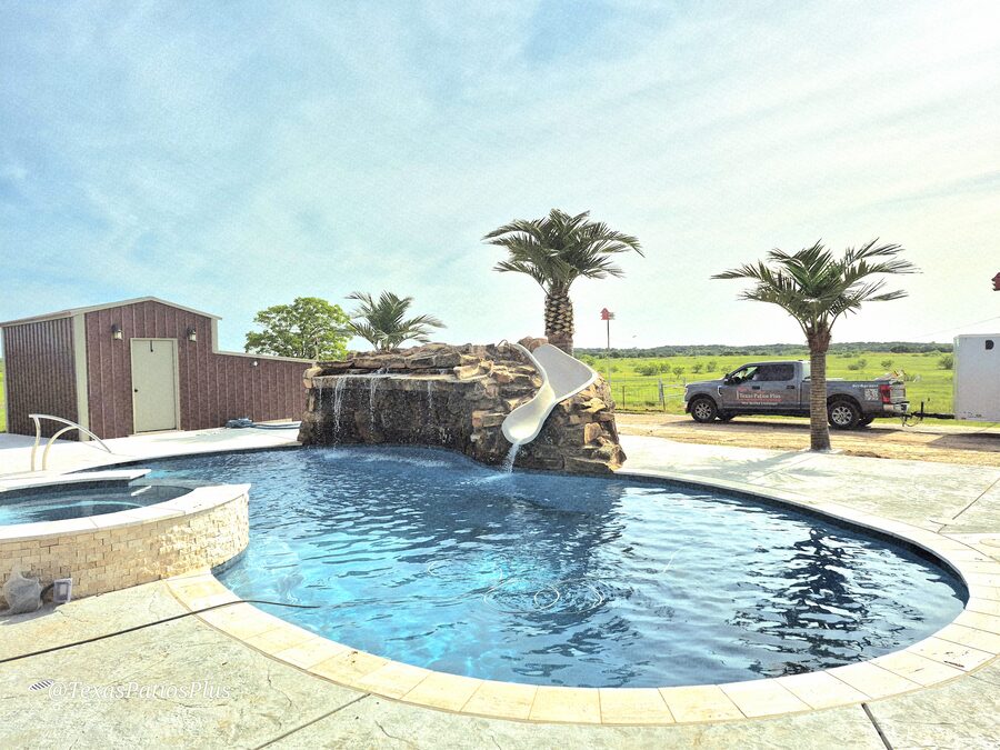 Palm Trees by Texas Patios Plus