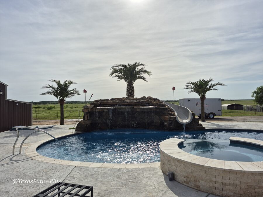 Palm Trees by Texas Patios Plus