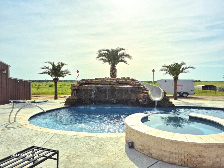 Palm Trees by Texas Patios Plus
