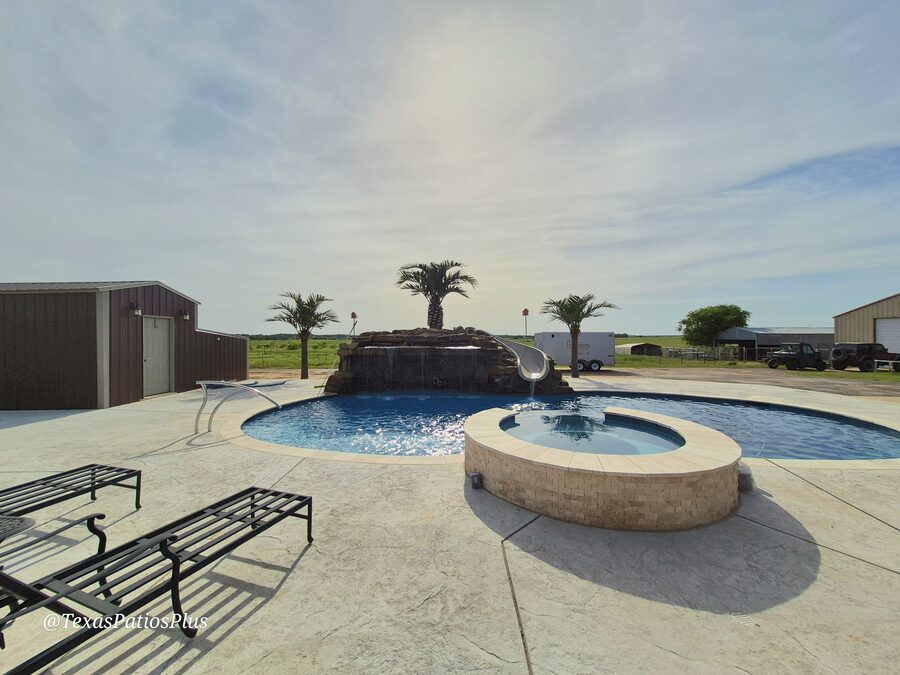 Palm Trees by Texas Patios Plus