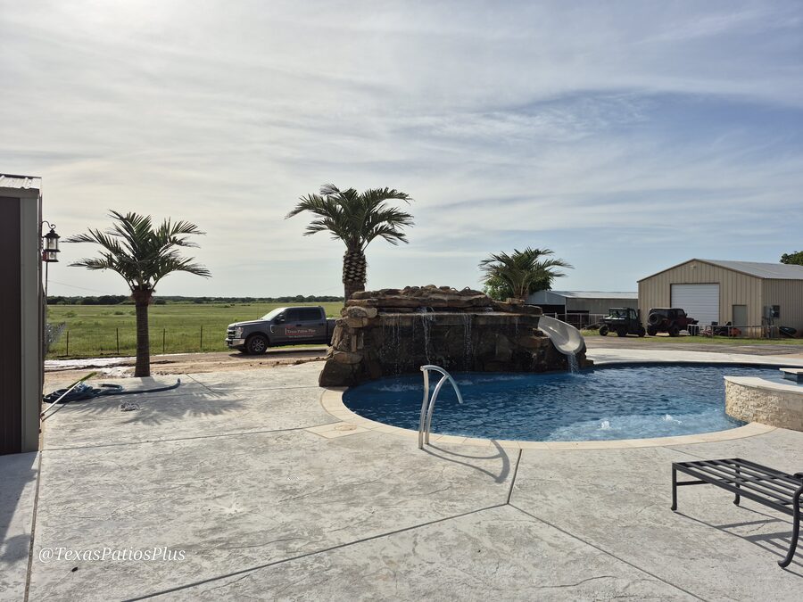 Palm Trees by Texas Patios Plus