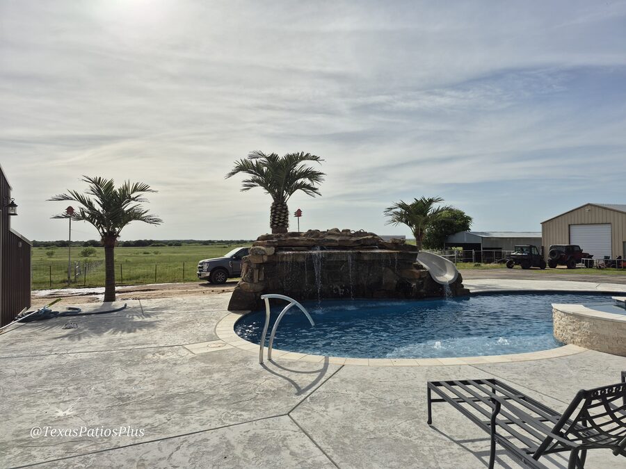 Palm Trees by Texas Patios Plus
