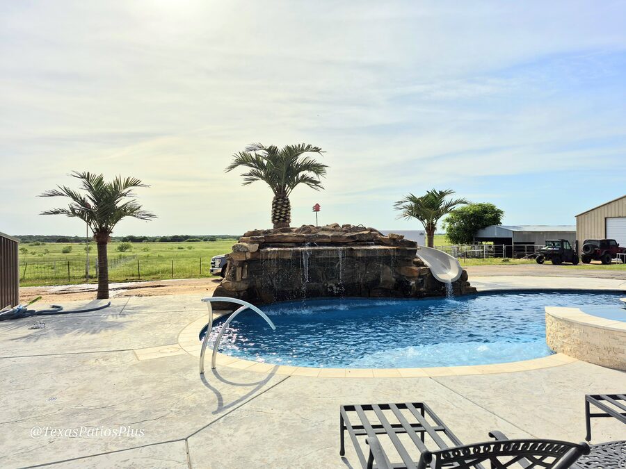Palm Trees by Texas Patios Plus