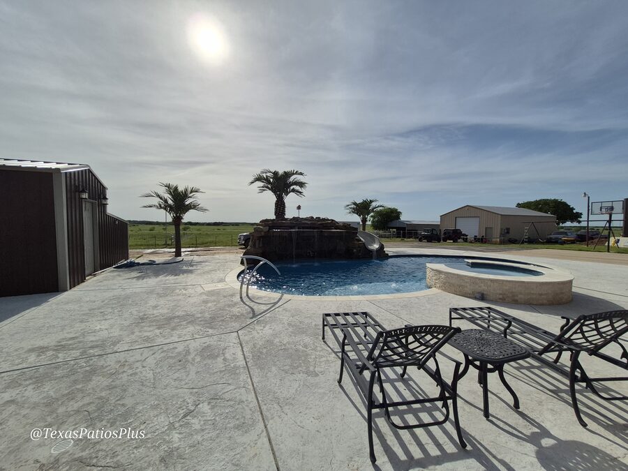 Palm Trees by Texas Patios Plus
