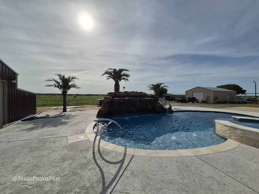 Palm Trees by Texas Patios Plus