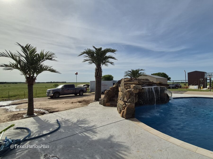 Palm Trees by Texas Patios Plus