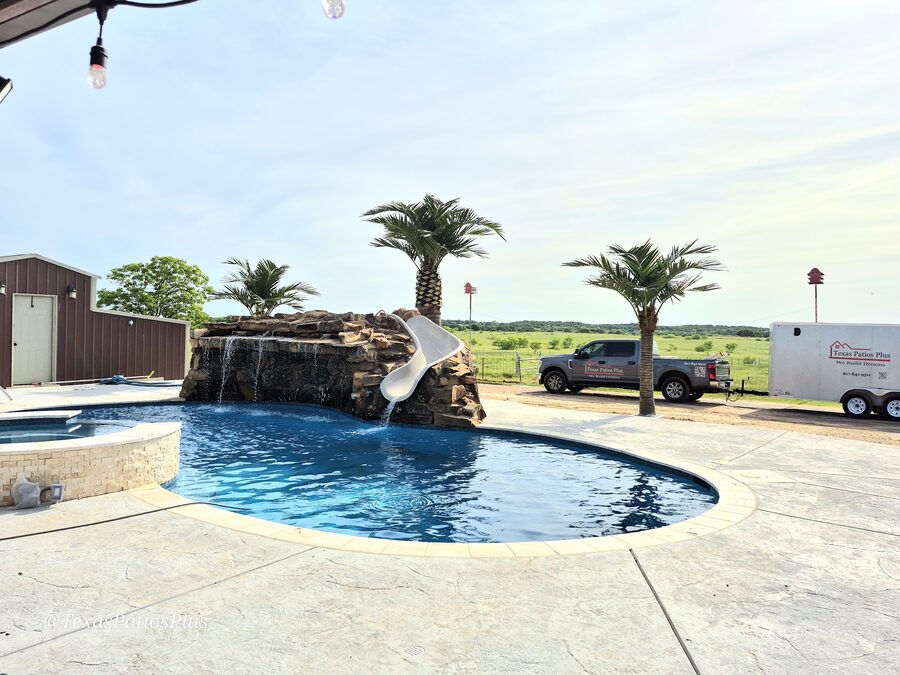 Palm Trees by Texas Patios Plus