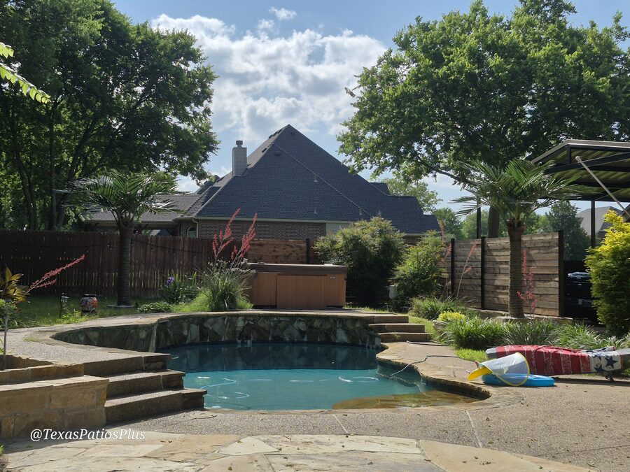 Palm Trees by Texas Patios Plus