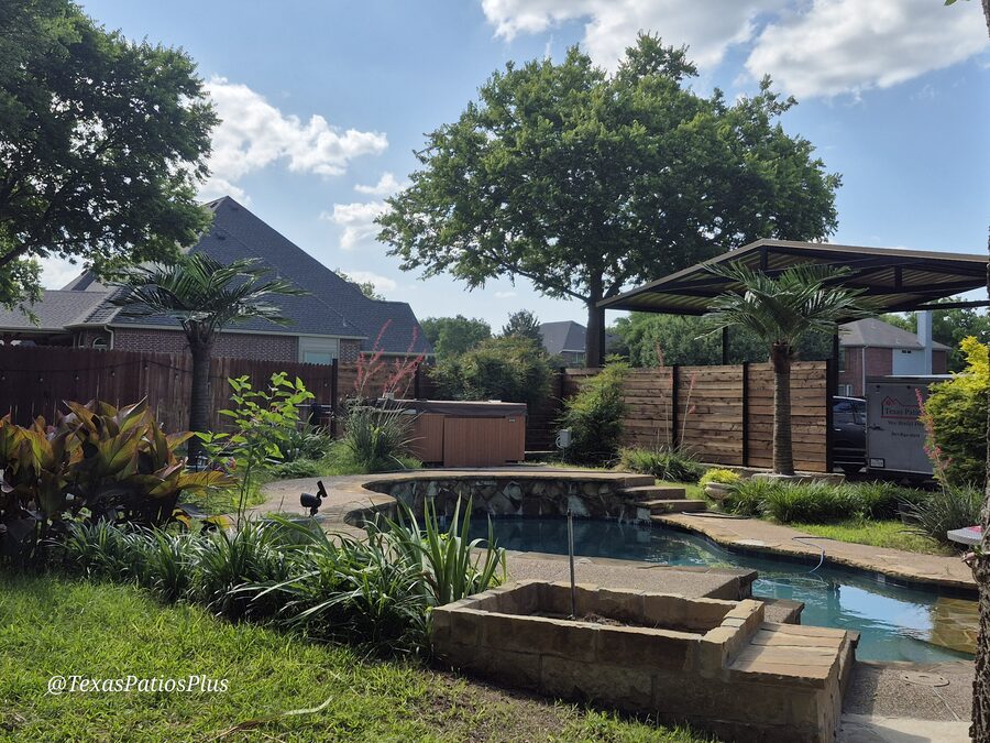Palm Trees by Texas Patios Plus