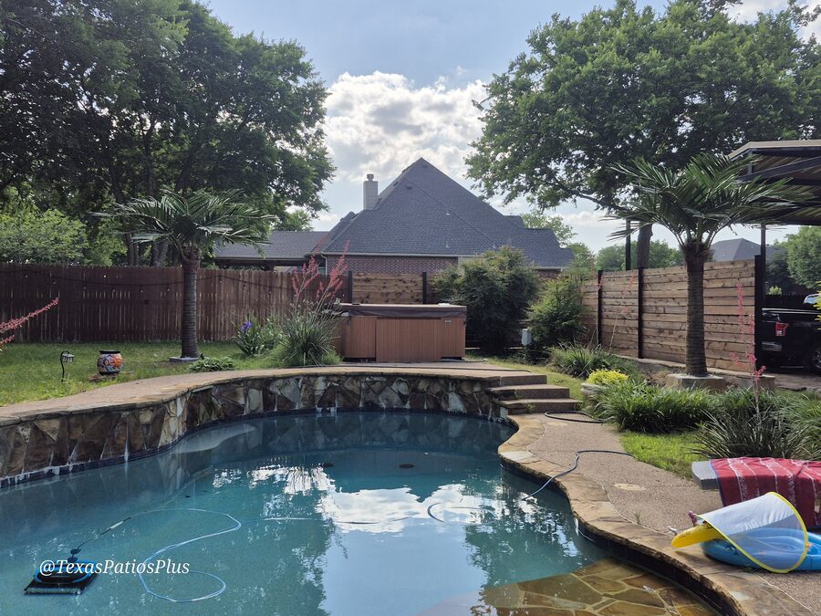 Palm Trees by Texas Patios Plus