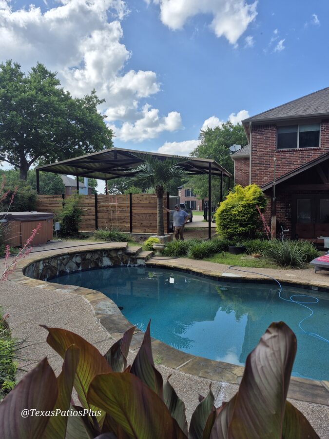 Palm Trees by Texas Patios Plus