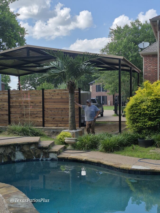 Palm Trees by Texas Patios Plus