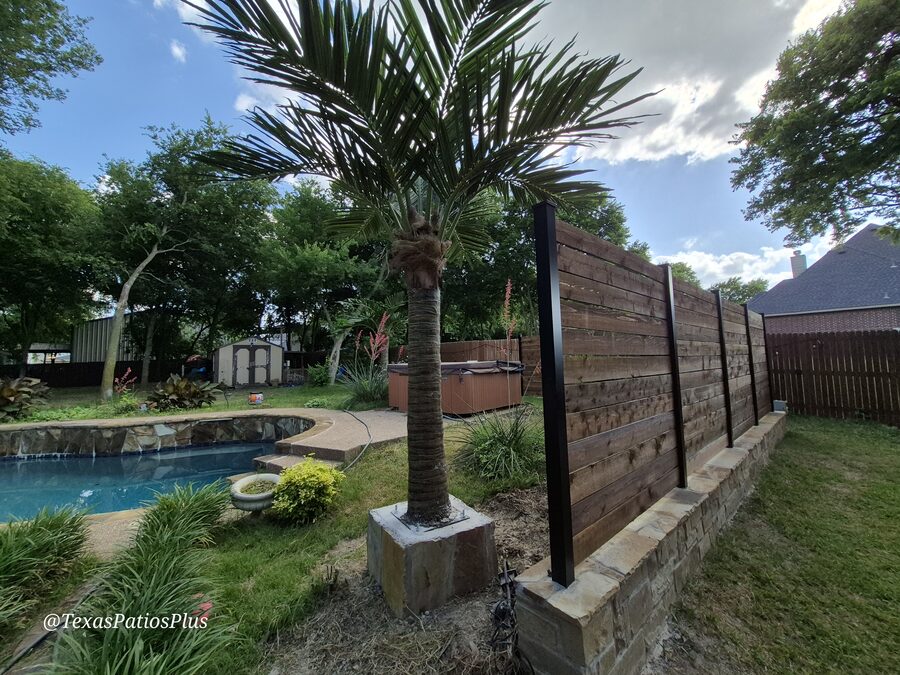 Palm Trees by Texas Patios Plus