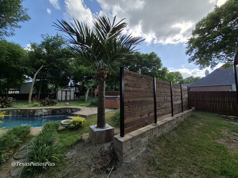 Palm Trees by Texas Patios Plus