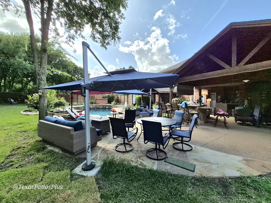 Palm Trees by Texas Patios Plus