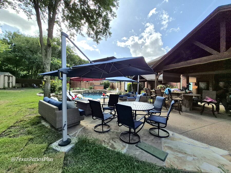 Palm Trees by Texas Patios Plus
