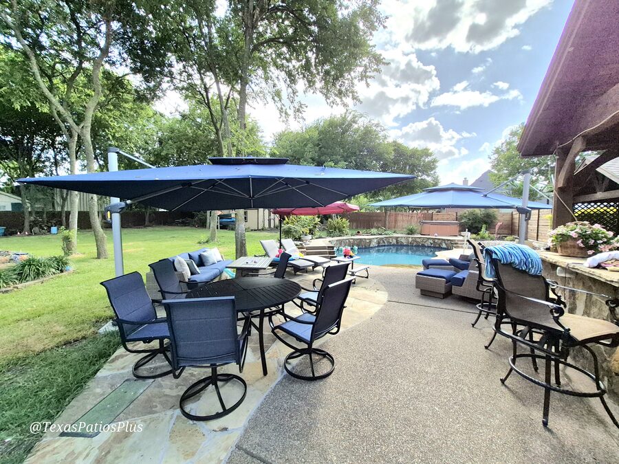 Palm Trees by Texas Patios Plus