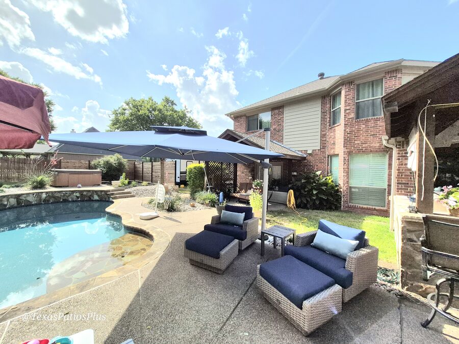 Palm Trees by Texas Patios Plus