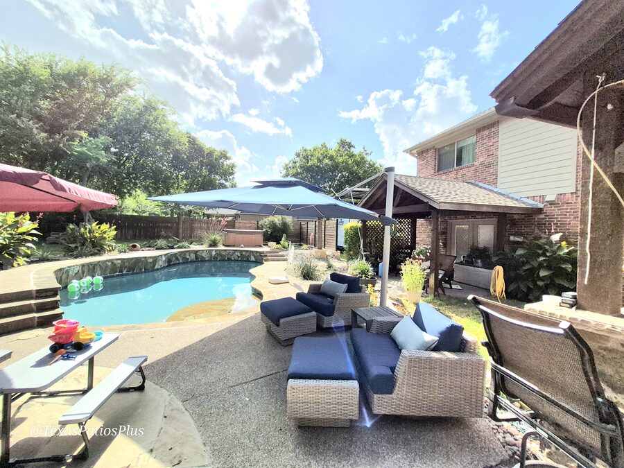 Palm Trees by Texas Patios Plus