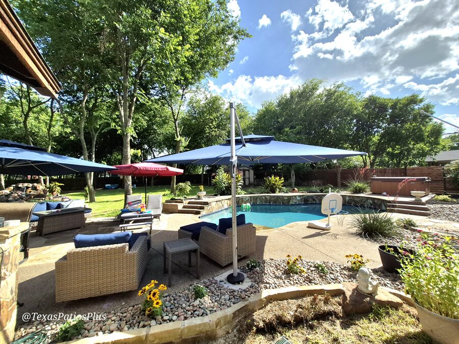 Palm Trees by Texas Patios Plus