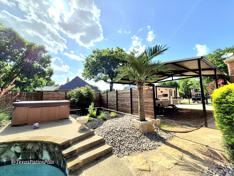 Palm Trees by Texas Patios Plus