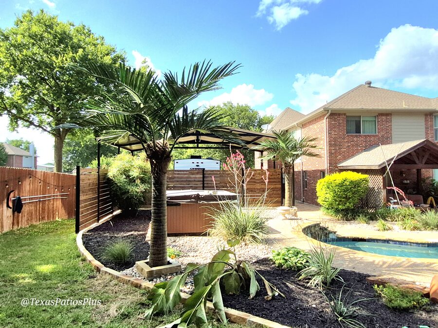 Palm Trees by Texas Patios Plus