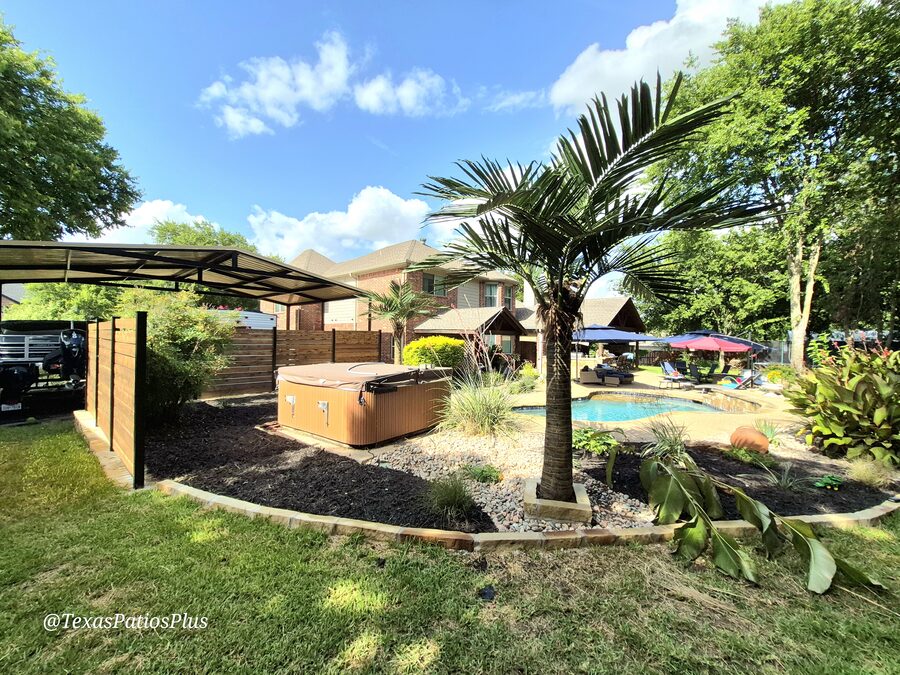 Palm Trees by Texas Patios Plus