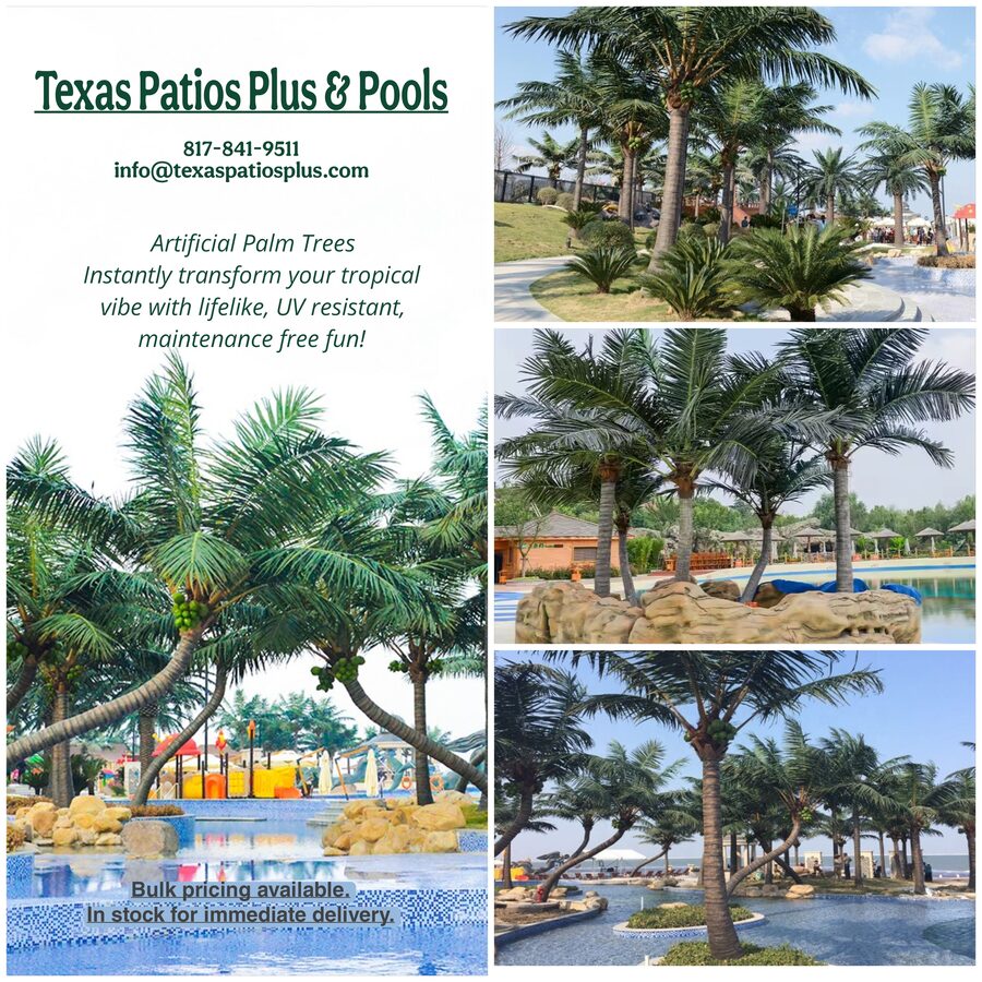 Palm Trees by Texas Patios Plus