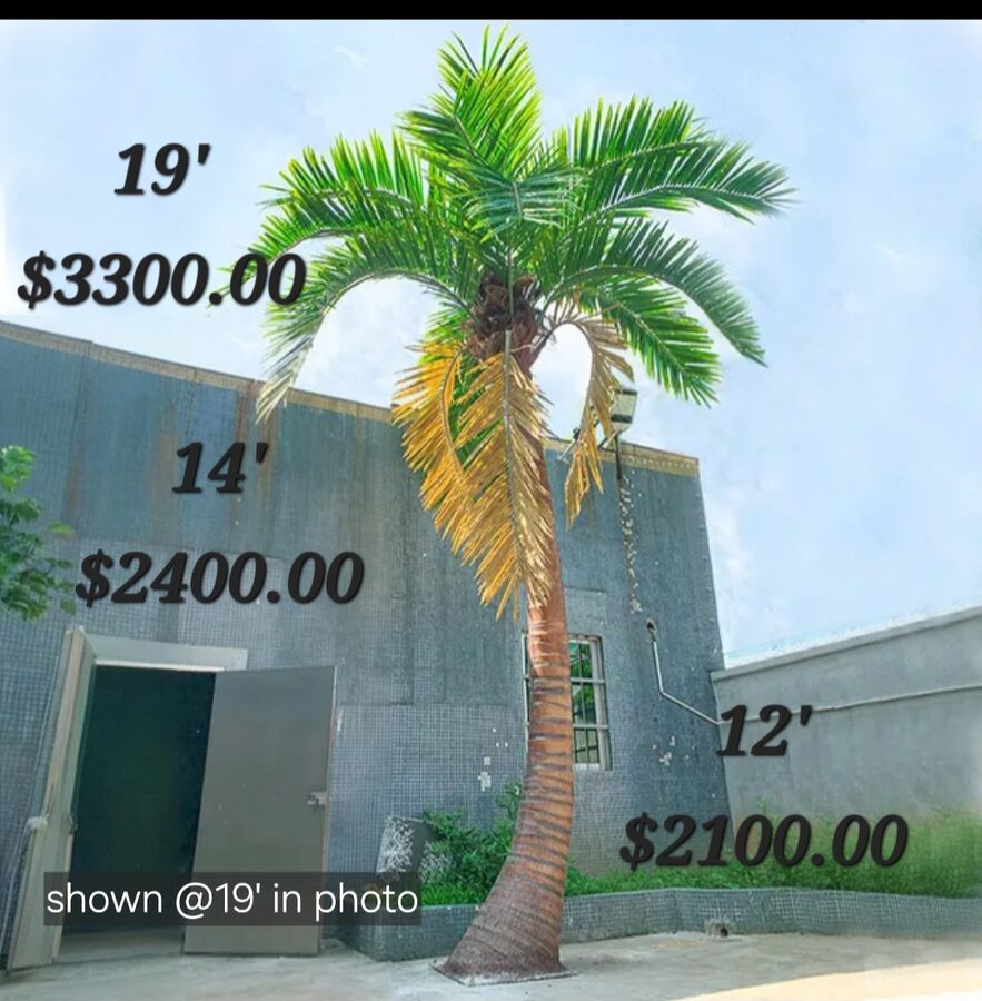 Palm Trees by Texas Patios Plus