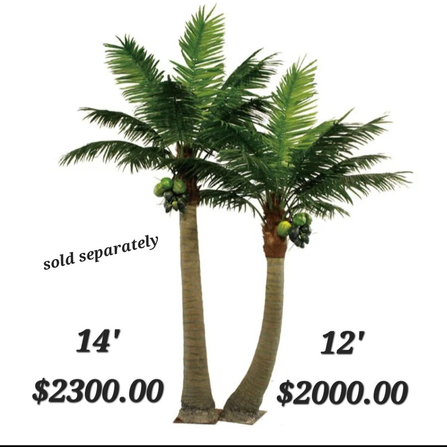 Palm Trees by Texas Patios Plus