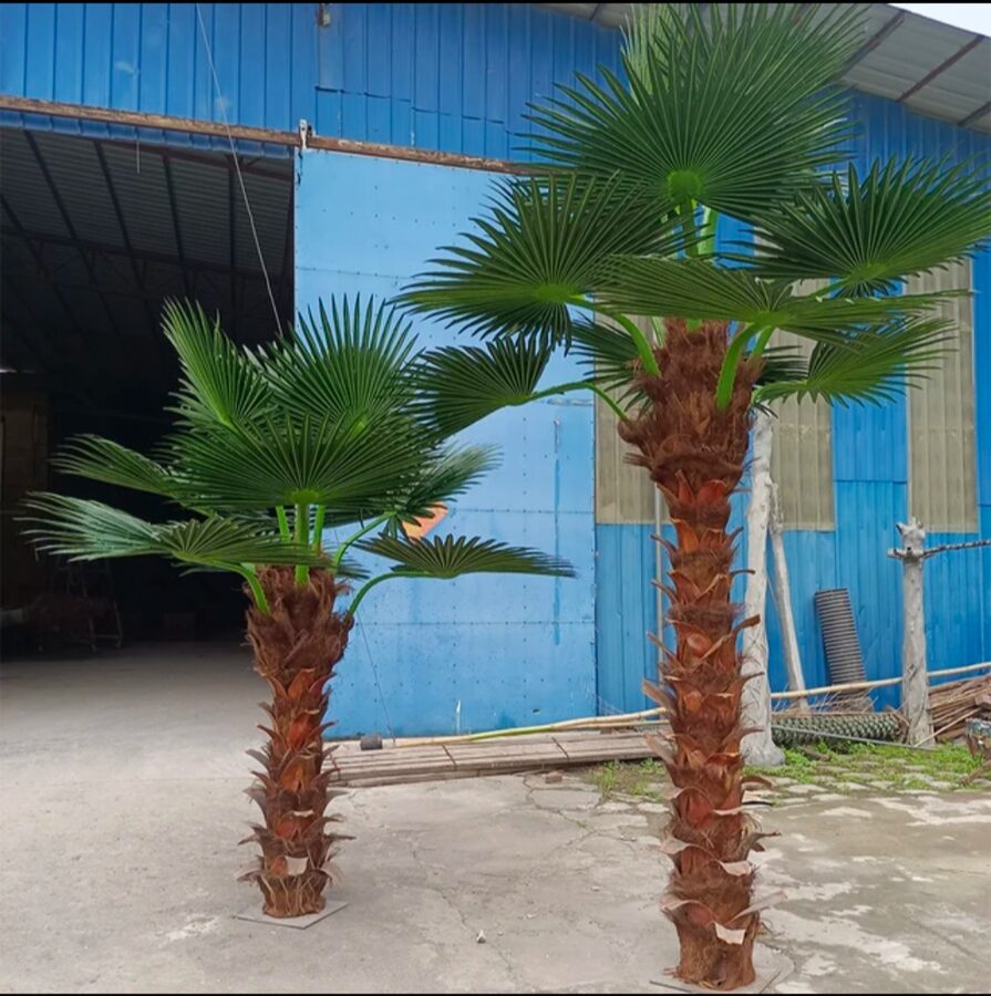 Palm Trees by Texas Patios Plus