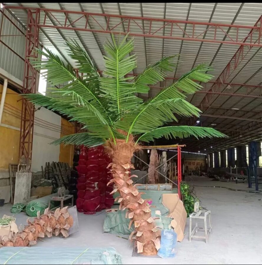Palm Trees by Texas Patios Plus