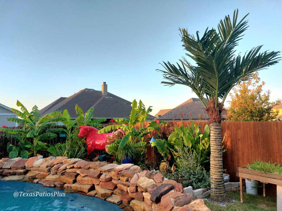 Faux palm trees installed by Texas Patios Plus in south DFW