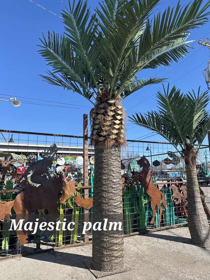 Faux palm trees installed by Texas Patios Plus in south DFW