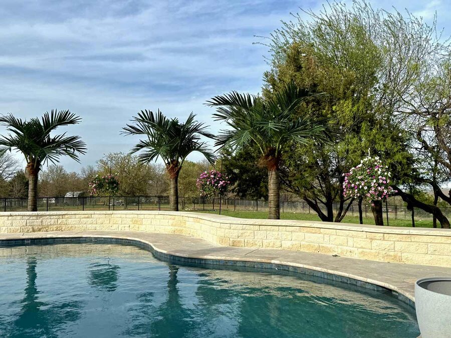 Faux palm trees installed by Texas Patios Plus in south DFW