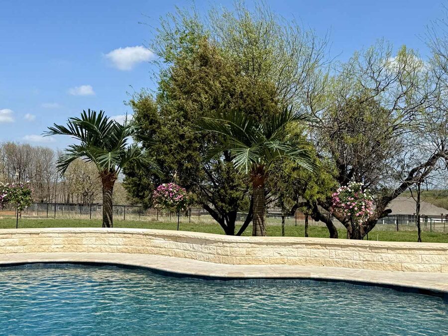 Faux palm trees installed by Texas Patios Plus in south DFW
