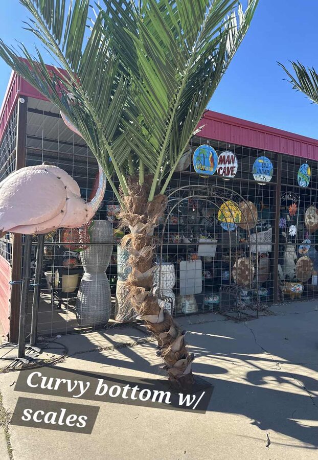 Faux palm trees installed by Texas Patios Plus in south DFW