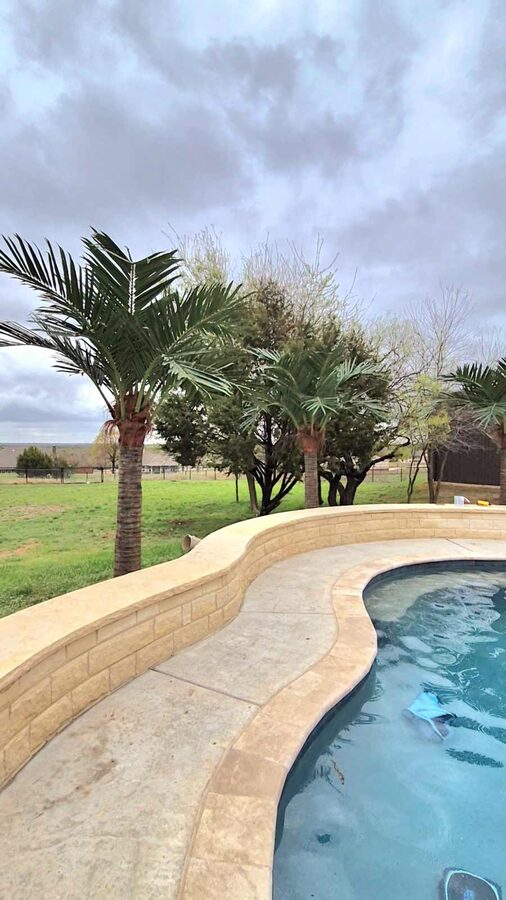 Faux palm trees installed by Texas Patios Plus in south DFW