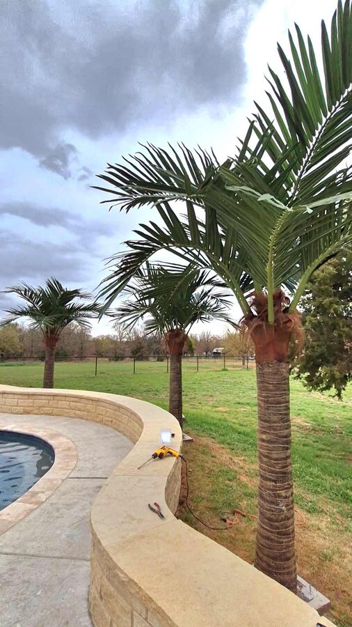 Faux palm trees installed by Texas Patios Plus in south DFW