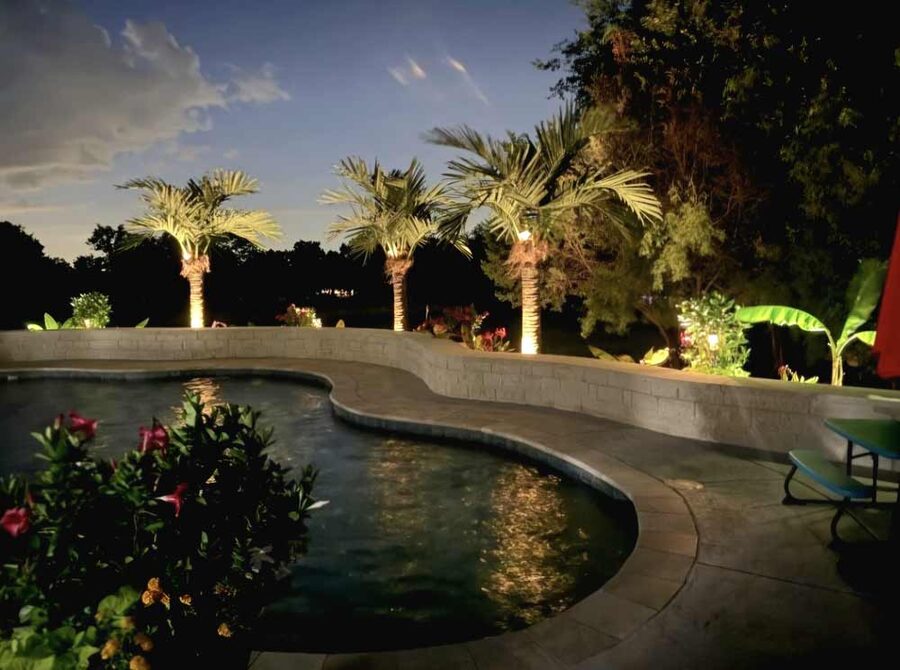 Faux palm trees installed by Texas Patios Plus in south DFW