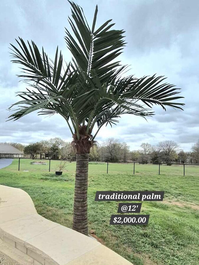 Faux palm trees installed by Texas Patios Plus in south DFW