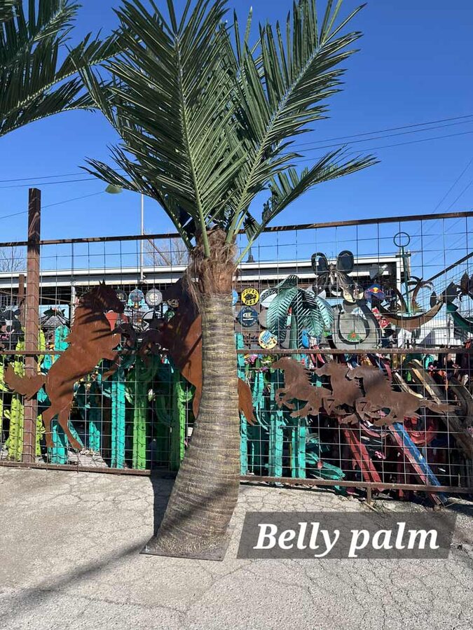 Faux palm trees installed by Texas Patios Plus in south DFW